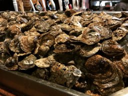 king-crab-house-chicago-king-crab-house-oyster-bar_20180903_1276577939